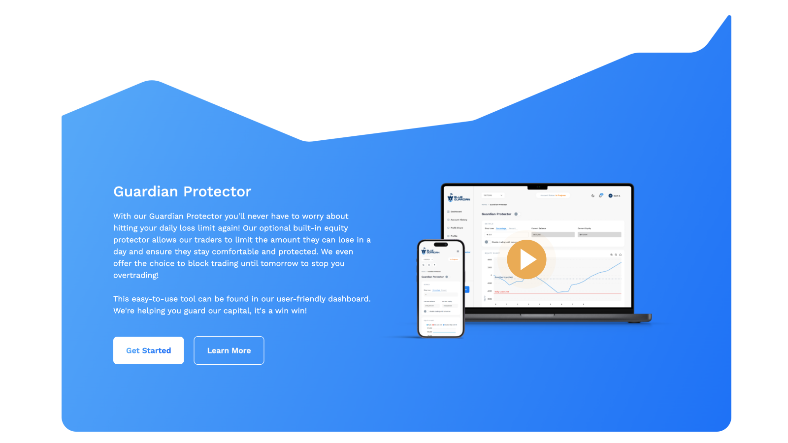 Image of Blue Guardian website