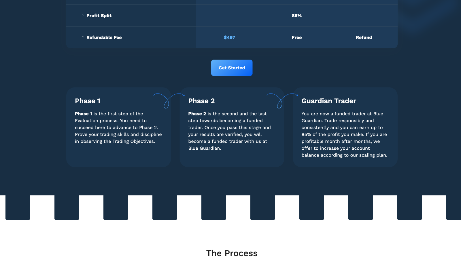 Image of Blue Guardian website